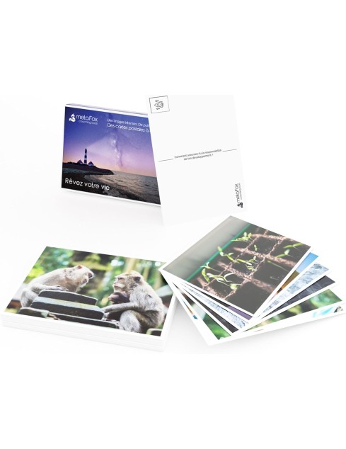Cartes A6 "Rêvez votre vie"