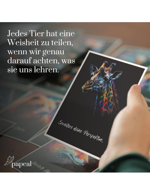 Karten A6 "Spirit Animals"...