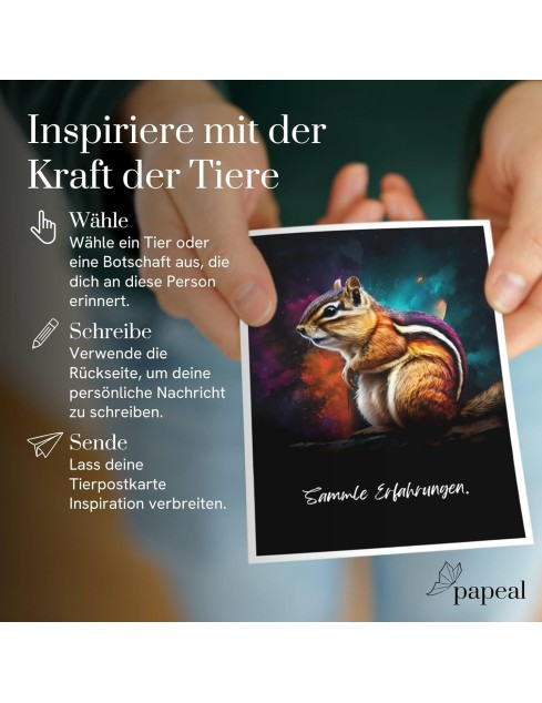 Karten A6 "Spirit Animals"...