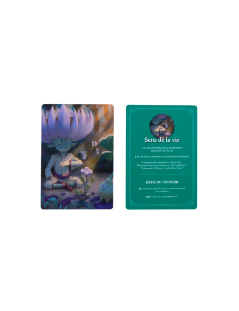 Cartes des Pouvoirs...