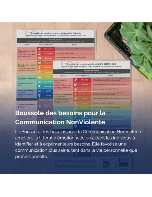 Boussole des besoins pour...