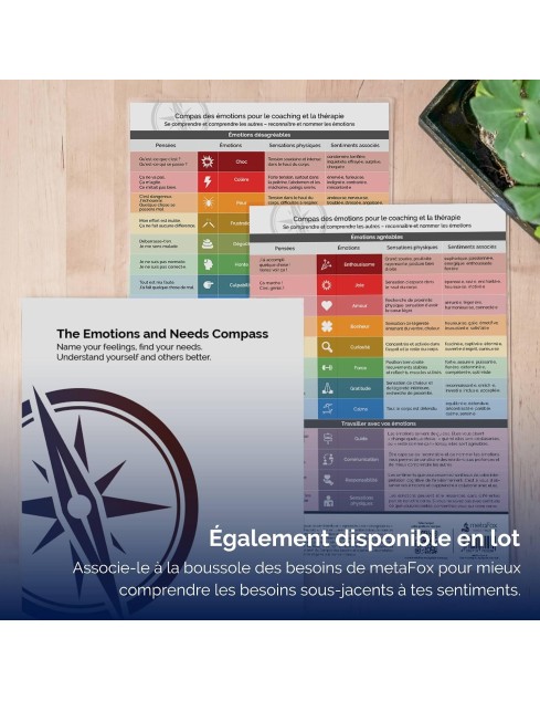 Boussole des émotions pour...